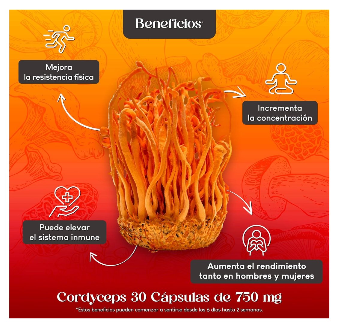 Cordyceps Lalun